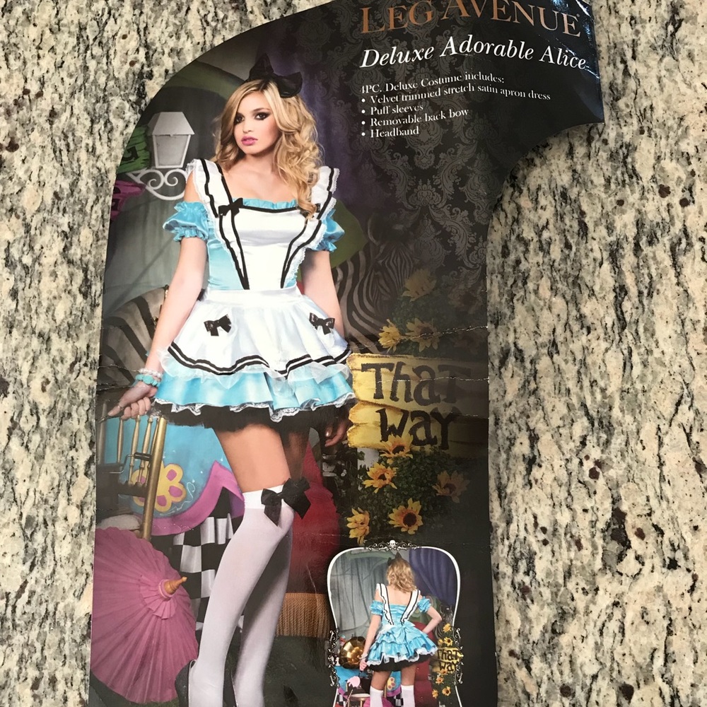 Alice in Wonderland Dress and accessories